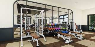 Solis Buffaloe Gallery 35