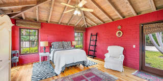 334 Palm Trail Gallery 16
