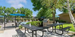 Glen Ridge Gallery 13