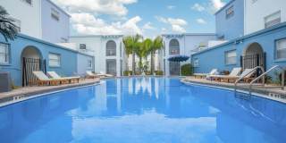 The Madeira Gallery 10