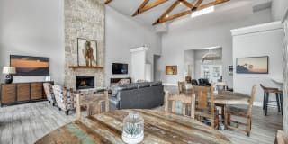 Renaissance Gallery 7