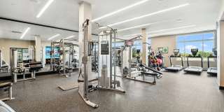 AMLI Deerfield Gallery 15