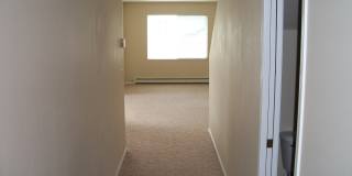 2 Bedroom 1 1/2 Bathroom - Close to Campus - Centrally Located Gallery 5