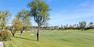 407 Desert Holly Drive Gallery 36
