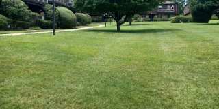 1 Germonds Village Gallery 1