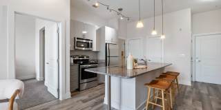 Maven at Wheaton Gallery 22