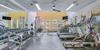 Plum Tree Apartments Gallery 27