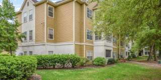 Spacious 3BR Condo in Gated White Marsh Island Community | Resort-Style Amenities | Pet-Friendly Gallery 35