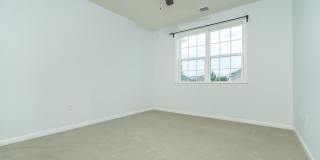 3 CANNON Drive Gallery 35