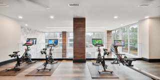 Aura Fifty4 Gallery 28