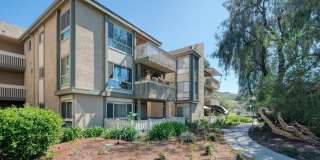 254 Sequoia Court Gallery 58