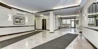 The Luzon Gallery 16