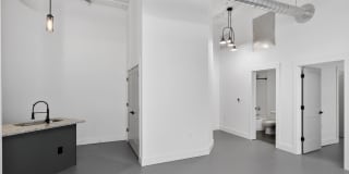 Plant 64 Gallery 59