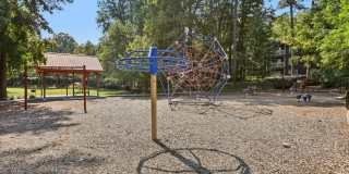 Canopy Glen Gallery 42