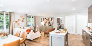 Modera LoSo Gallery 3