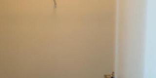 641 N Wells Gallery 7