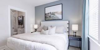 Novel Cary Gallery 7