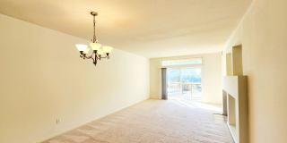 Beautiful Brisbane condo Gallery 12