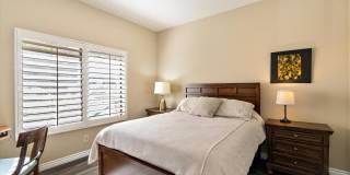 54838 Oak Tree Gallery 28