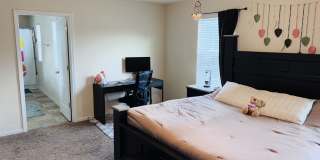 2209 Marla Creek Drive Gallery 13