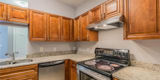 13015 SANCTUARY COVE DRIVE Gallery 15