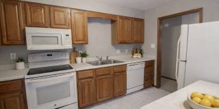 Spacious 3 bedroom w/ fenced yard Gallery 5