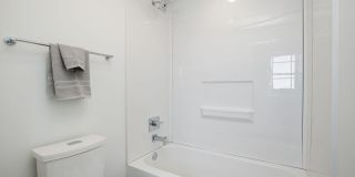 Netherland Gallery 8