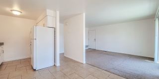 Orchard Gardens  (OG) Gallery 3