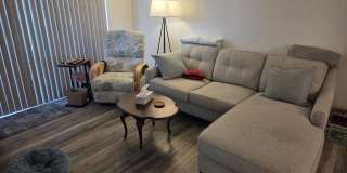 500 Palm Springs Boulevard Gallery 11