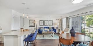 Nautilus Point Gallery 13