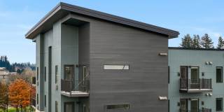 The Oliveen Gallery 52