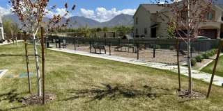 1063 South 2760 East Gallery 20