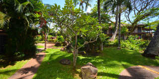 Coconut Inn Gallery 15