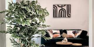 The Oasis - Co-Living Gallery 10