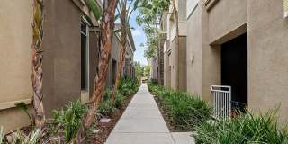 Tempo Riverpark Gallery 31