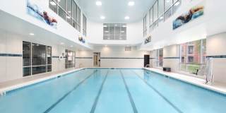 The Biltmore Gallery 9