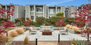 Bay View Terrace Gallery 1