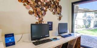 Avana at the Pointe Gallery 12