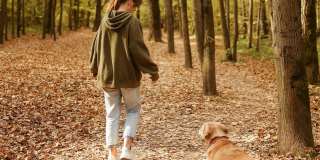 Creekwood Gallery 24