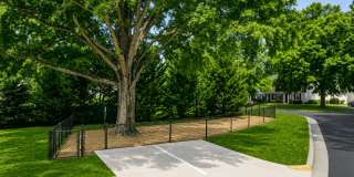 Timberstone Gallery 14