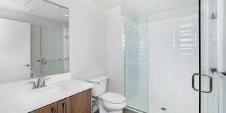 The Lex The Lex Gallery 20