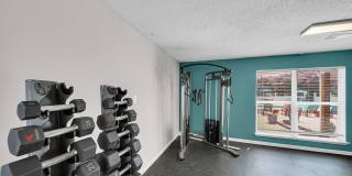 The Stella The Stella Gallery 13