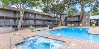 Treehouse Apartments Gallery 3