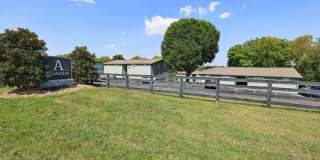 The Ashley Gallery 21