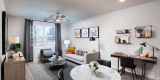 August Friendswood Gallery 11