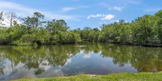 1200 TARPON WOODS BOULEVARD Gallery 27