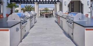 Vineyards Gallery 59