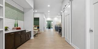 Tempo at Grand Park Gallery 41