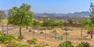 1716 Cedar Gallery 29