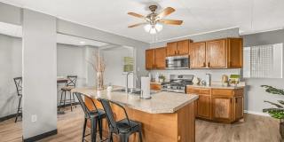 WARM & INVITING 3 Bedroom, 1 Bath home in Mt. Oliver Gallery 1